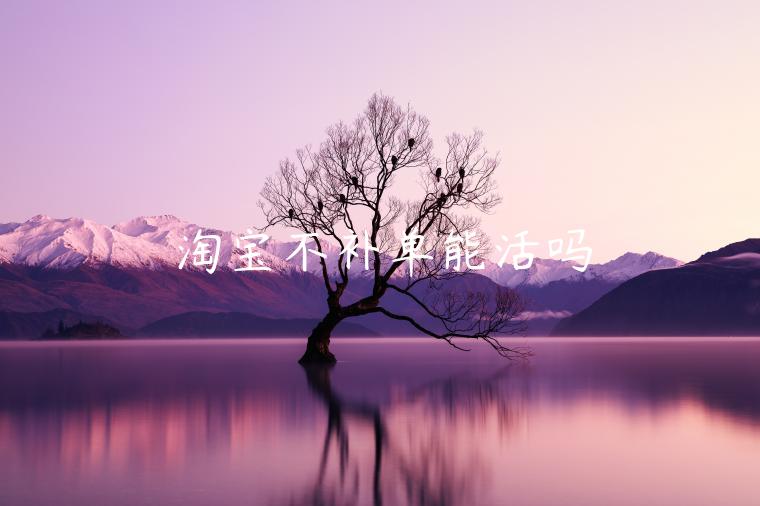 淘寶不補(bǔ)單能活嗎